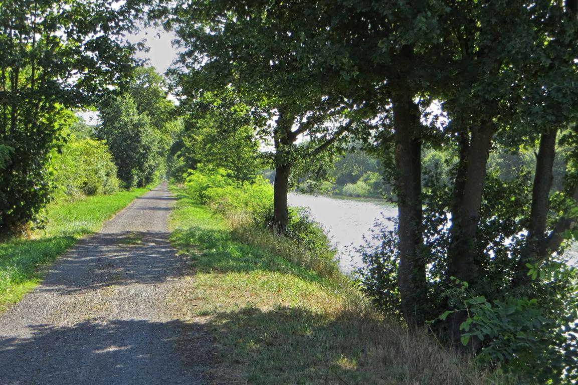 Schattiger Radweg Schattiger Radweg